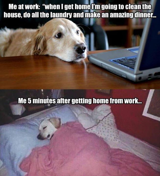 When i get home. Ворк приколы. Tired after work meme. Tired because of the House work.