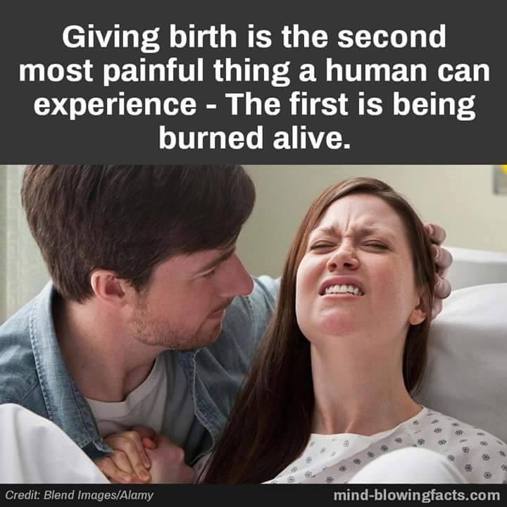 pregnancy-funny-parenting-memes-page-3-proudmummy-the-web-s