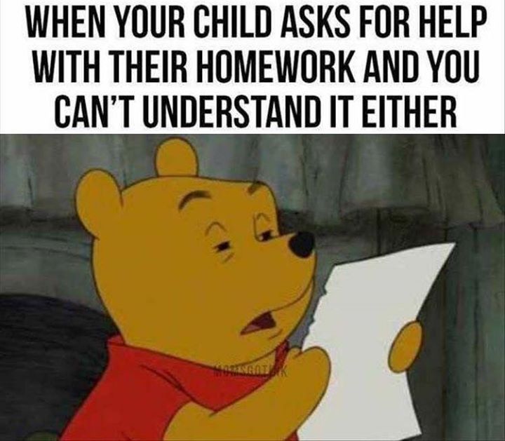 i will help you with your homework