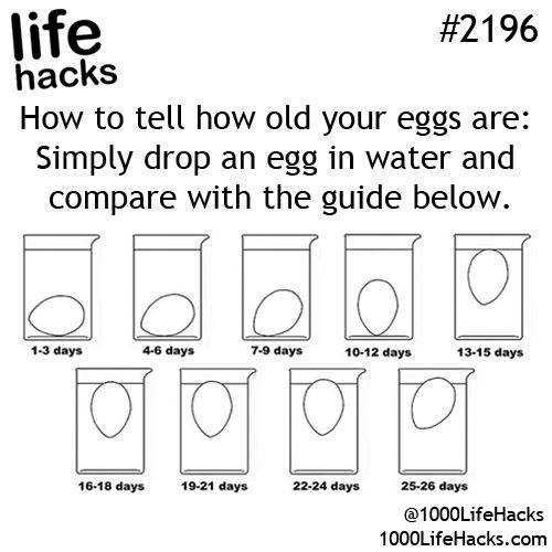 LIFE HACKS #2196 HOW TO TELL HOW OLD YOUR EGGS ARE: SIMPLY - ProudMummy ...